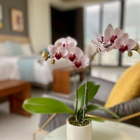 Follow The Cloud B&B Jialin Стая снимка