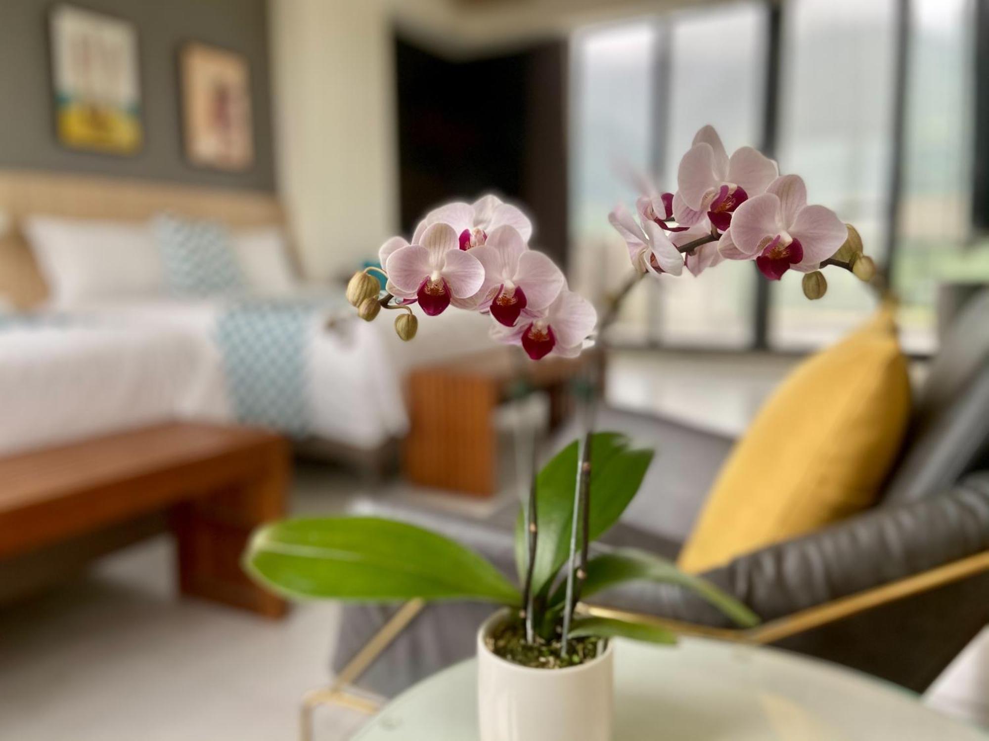 Follow The Cloud B&B Jialin Стая снимка
